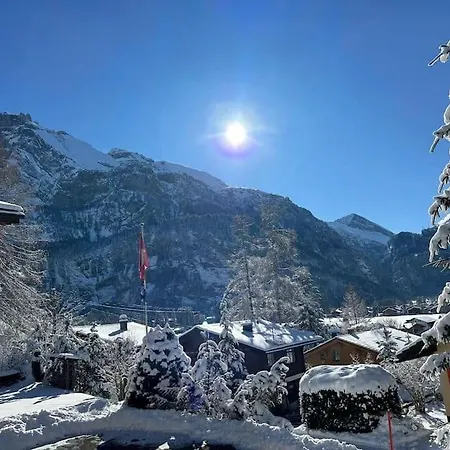 Διαμέρισμα Spatz Garden Near Oeschinen