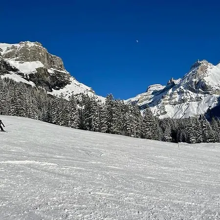 Spatz Garden Near Oeschinen * Kandersteg