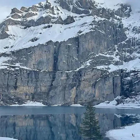 Spatz Garden Near Oeschinen With Sauna Access Lägenhet Kandersteg