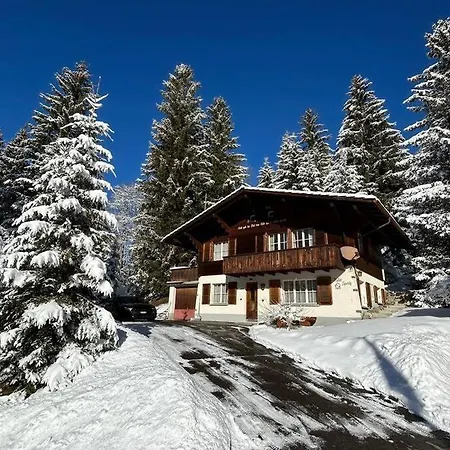 Spatz Garden Near Oeschinen With Sauna Access *
