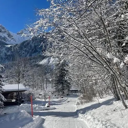 Spatz Garden Near Oeschinen With Sauna Access