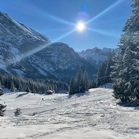 Spatz Garden Near Oeschinen Kandersteg