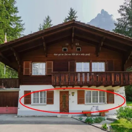 Spatz Garden Near Oeschinen With Sauna Access *