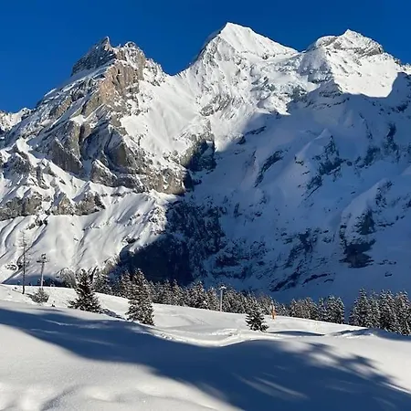 Bijou Spatz Two Near Oeschinen *