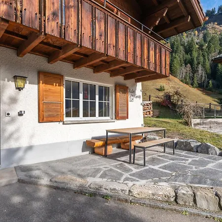 Spatz Garden Near Oeschinen With Sauna Access *
