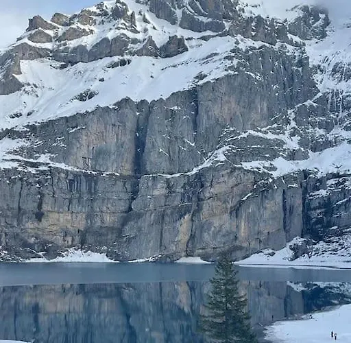 Spatz Garden Near Oeschinen Apartment Kandersteg