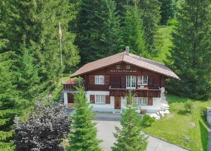 Spatz Garden Near Oeschinen *