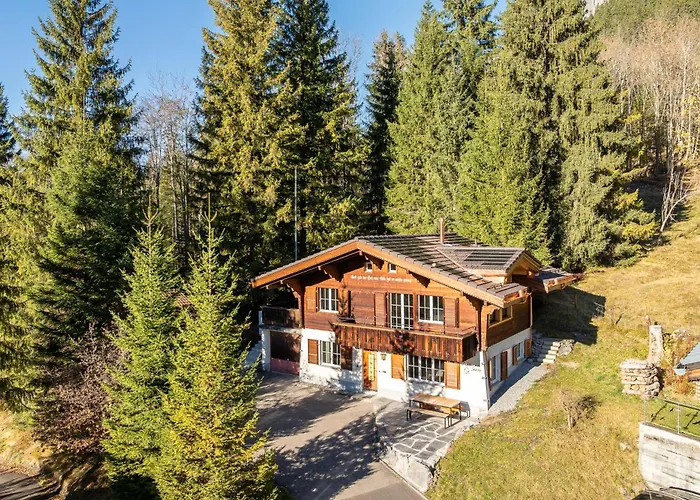 Apartment Spatz Garden Near Oeschinen